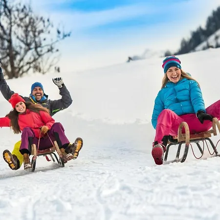 Lägenhetshotell Harmls Flachau